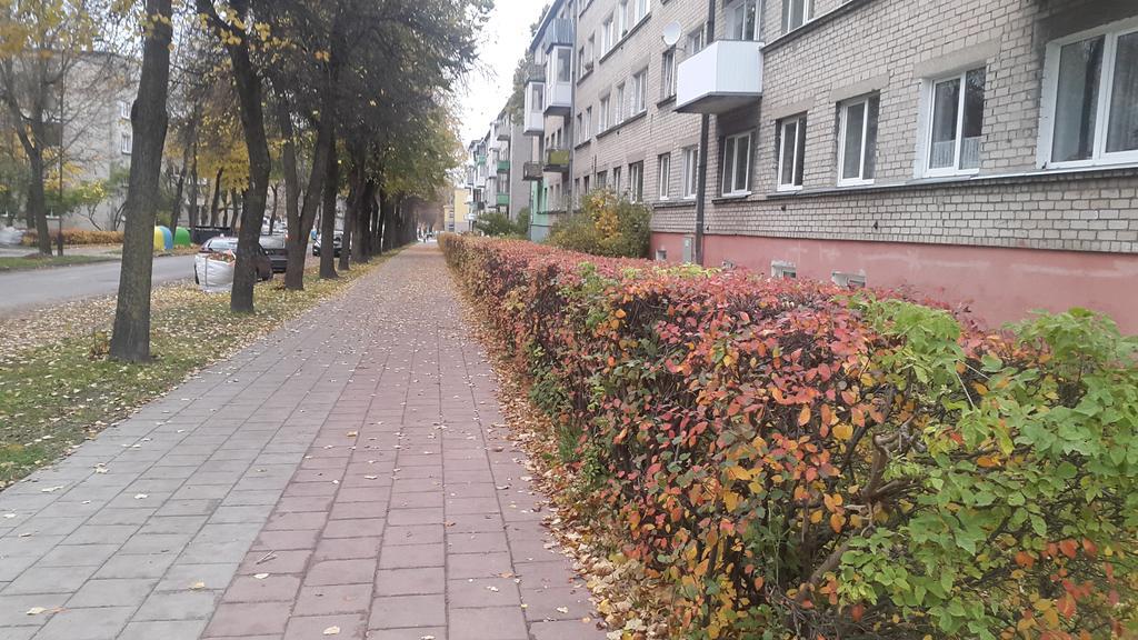 Apartment Dalyce Šiauliai Buitenkant foto
